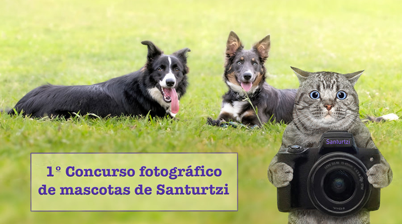 I concurso fotográfico mascotas Santurtzi