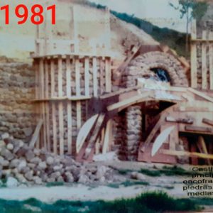 castillo 1981